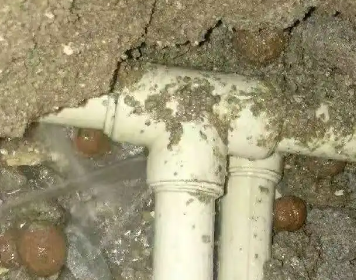 阿拉善右测漏水多少钱