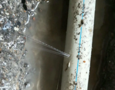 阿拉善右测漏水哪家好