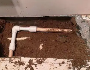 阿拉善右测漏水哪家好