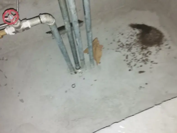 阿拉善右卫生间测漏水价格明细