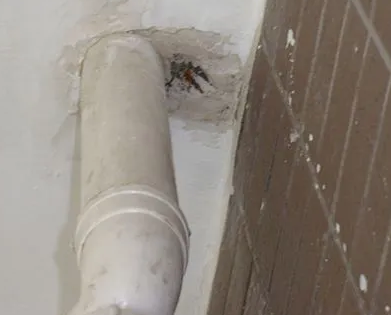 阿拉善右漏水检测哪家好