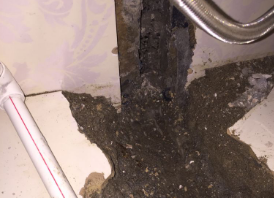阿拉善右卫生间测漏水哪家好